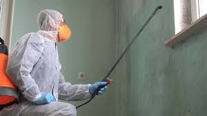 Best Commercial Mold Inspection  in Gervais, OR